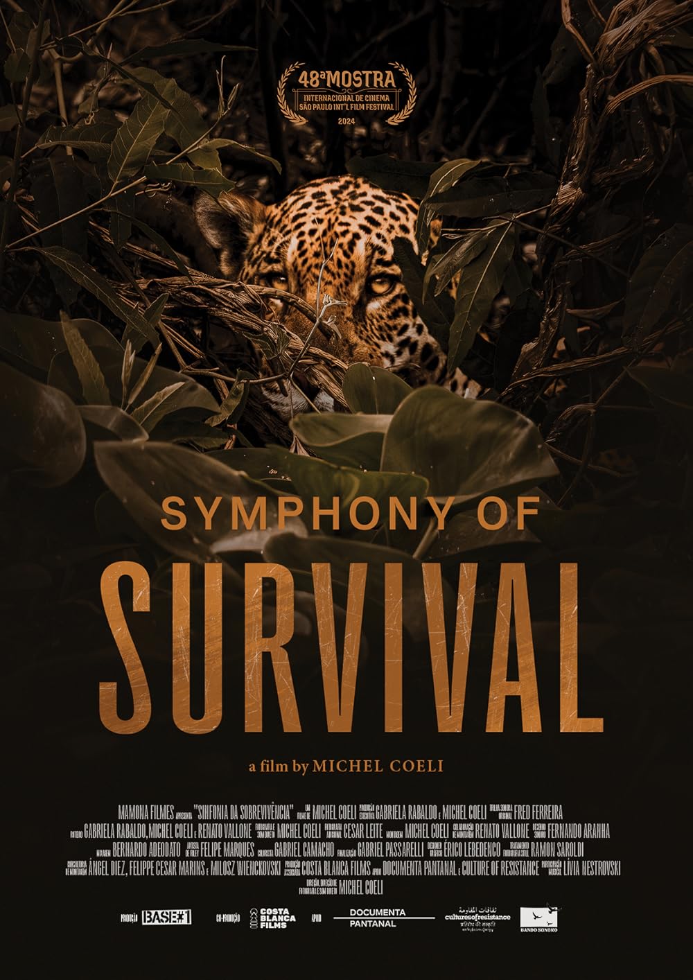 Sinfonia da Sobrevivência (2024) - IMDb