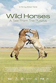 Primary photo for Wild Horses: A Tale from the Puszta