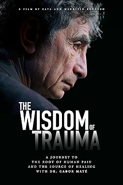 Poster of The Wisdom of Trauma