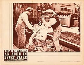 पोस्टर देखें