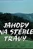 Primary photo for Jahody na stéble trávy