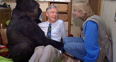 पोस्टर देखें