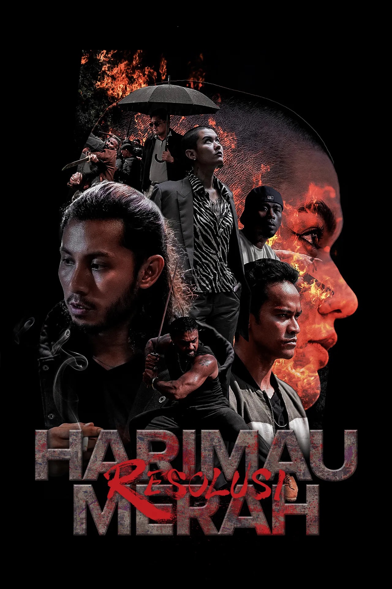 Harimau Merah: Resolusi
