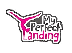 Poster of My Perfect Landing