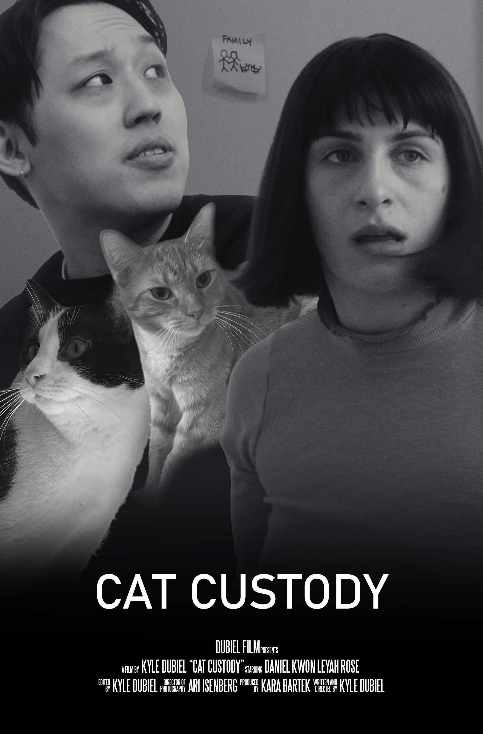 Cat Custody