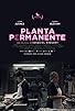 Primary photo for Planta permanente