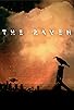 Primary photo for The Raven