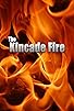 Primary photo for The Kincade Fire