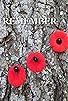 Primary photo for Remember
