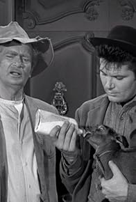 Primary photo for Jed Cuts the Family Tree Primary photo for Jed Cuts the Family Tree