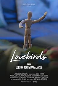 Primary photo for Lovebirds