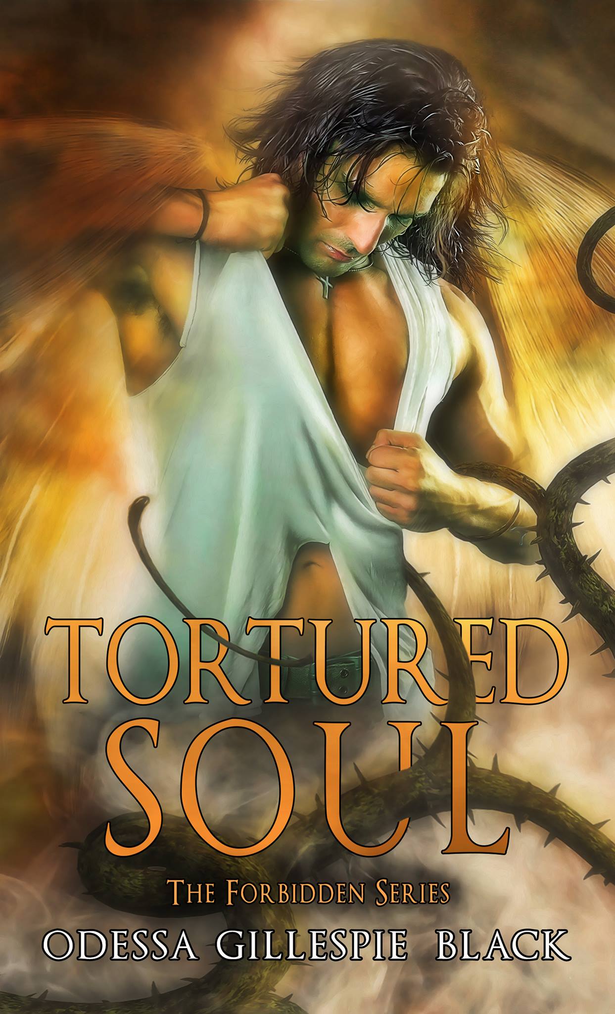 Tortured Soul: The Forbidden Series - Volume 2