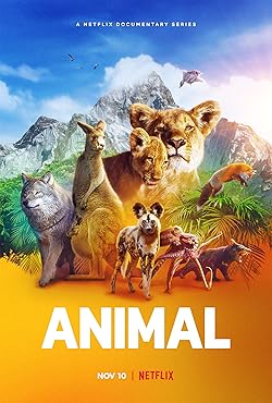 Poster of Animal