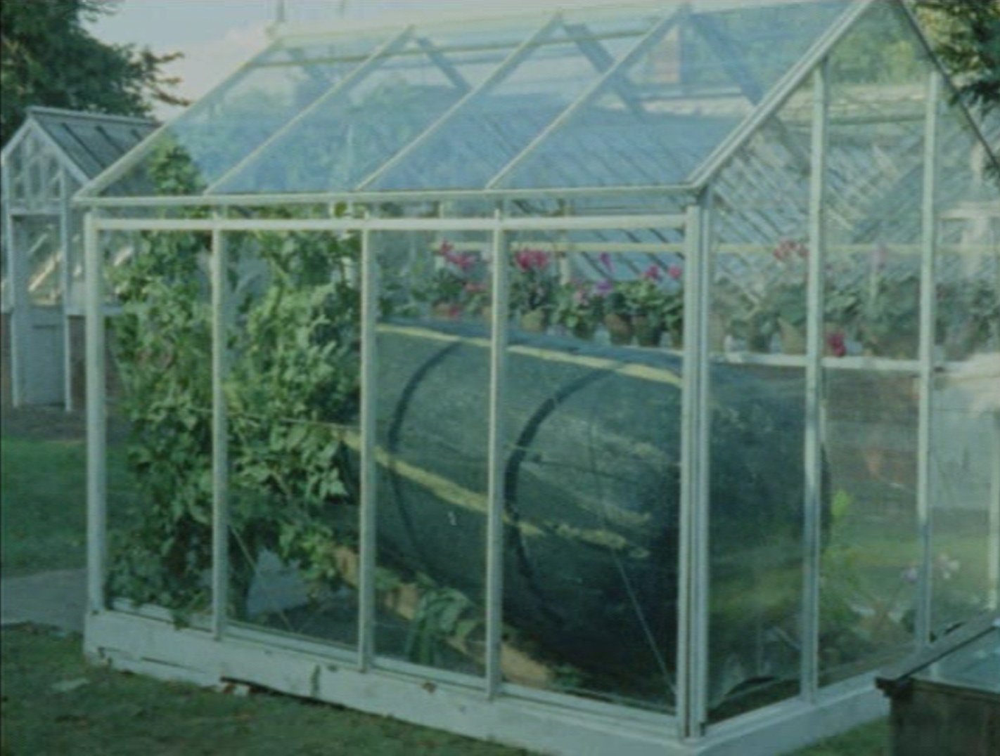 Catweazle (1970)