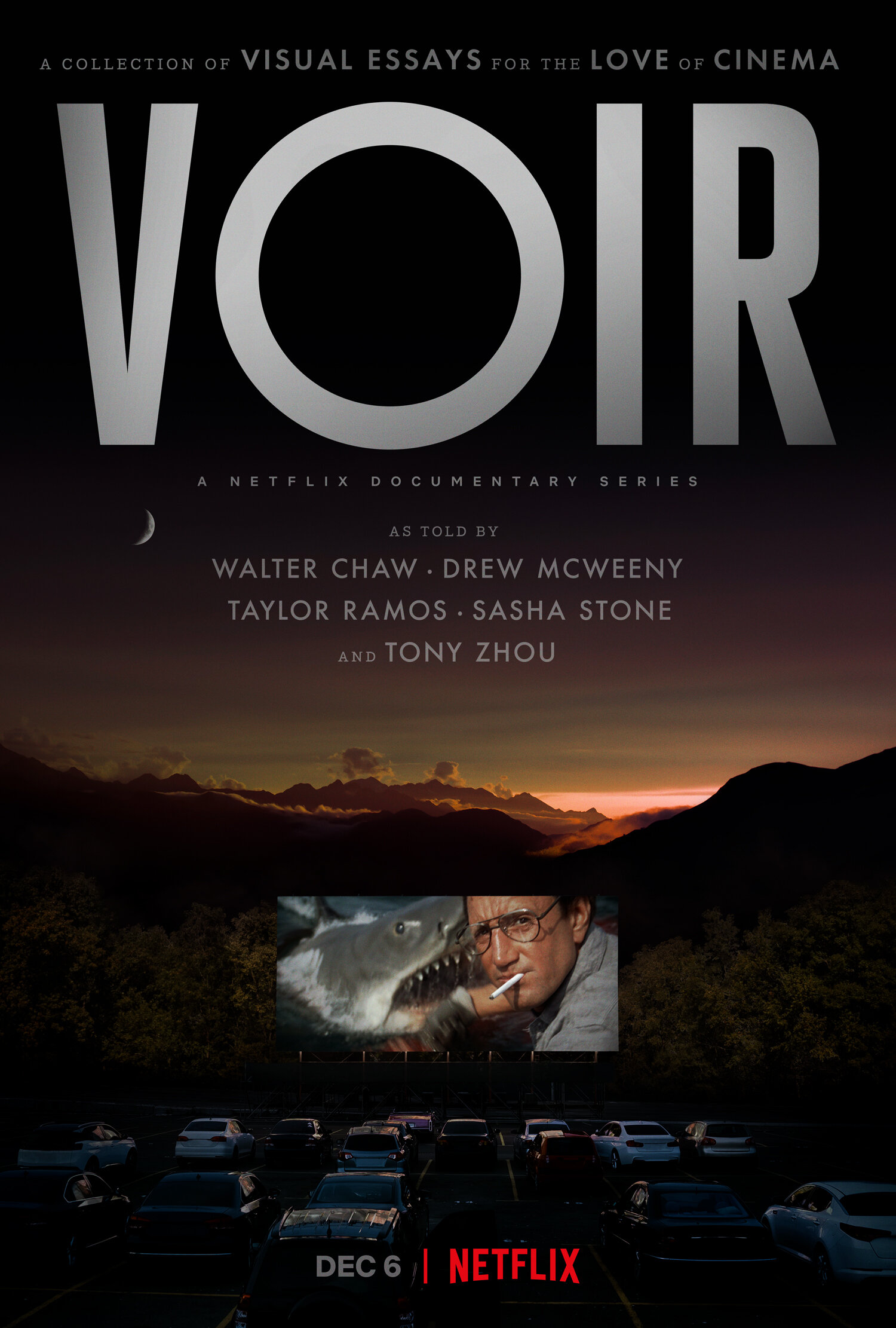 Poster of Voir