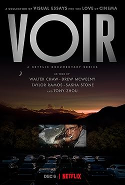 Poster of Voir