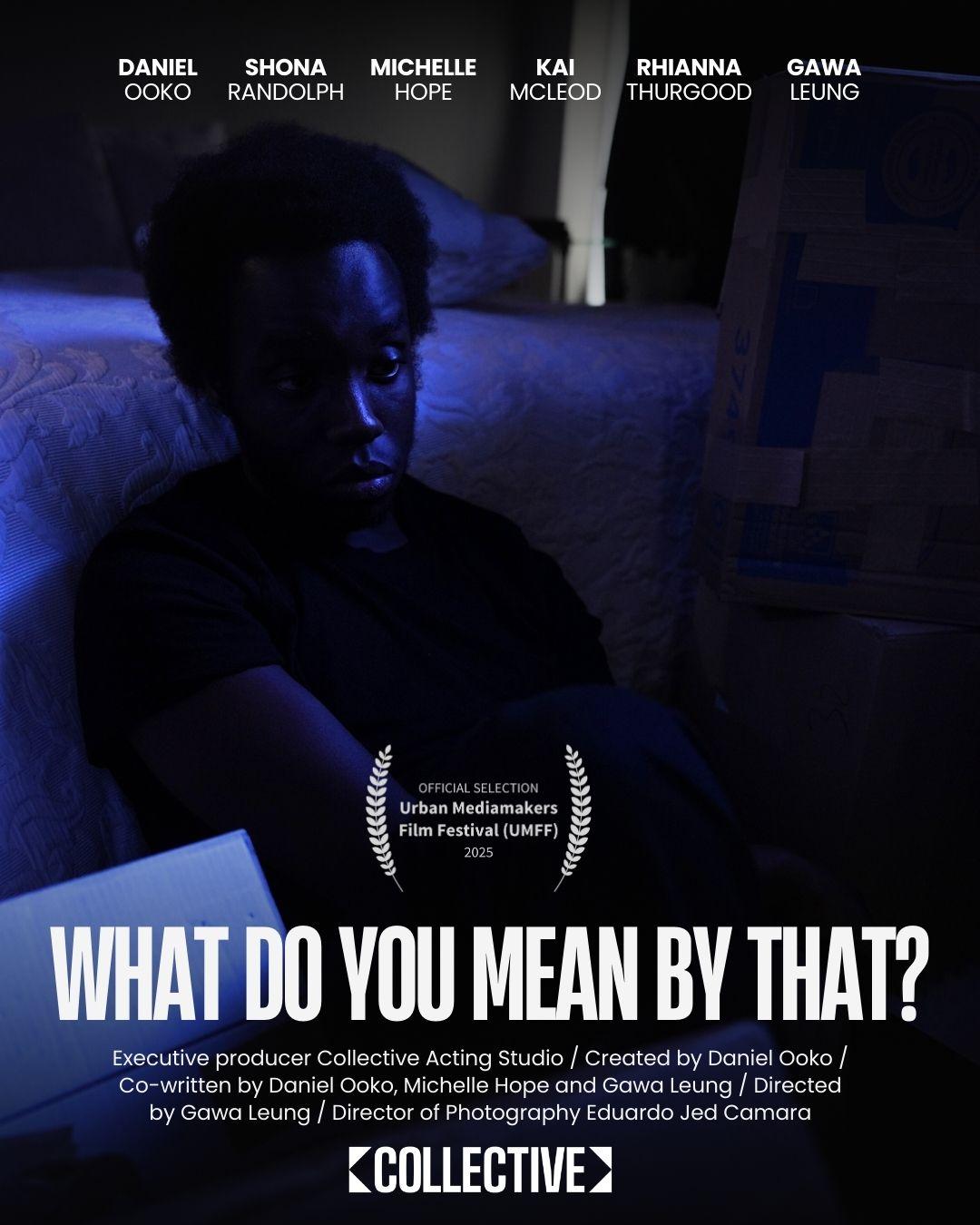 What Do You Mean by That?