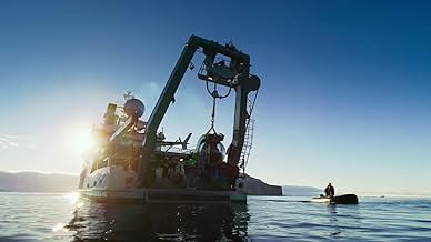 पोस्टर देखें