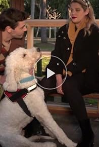 Primary photo for Good dog