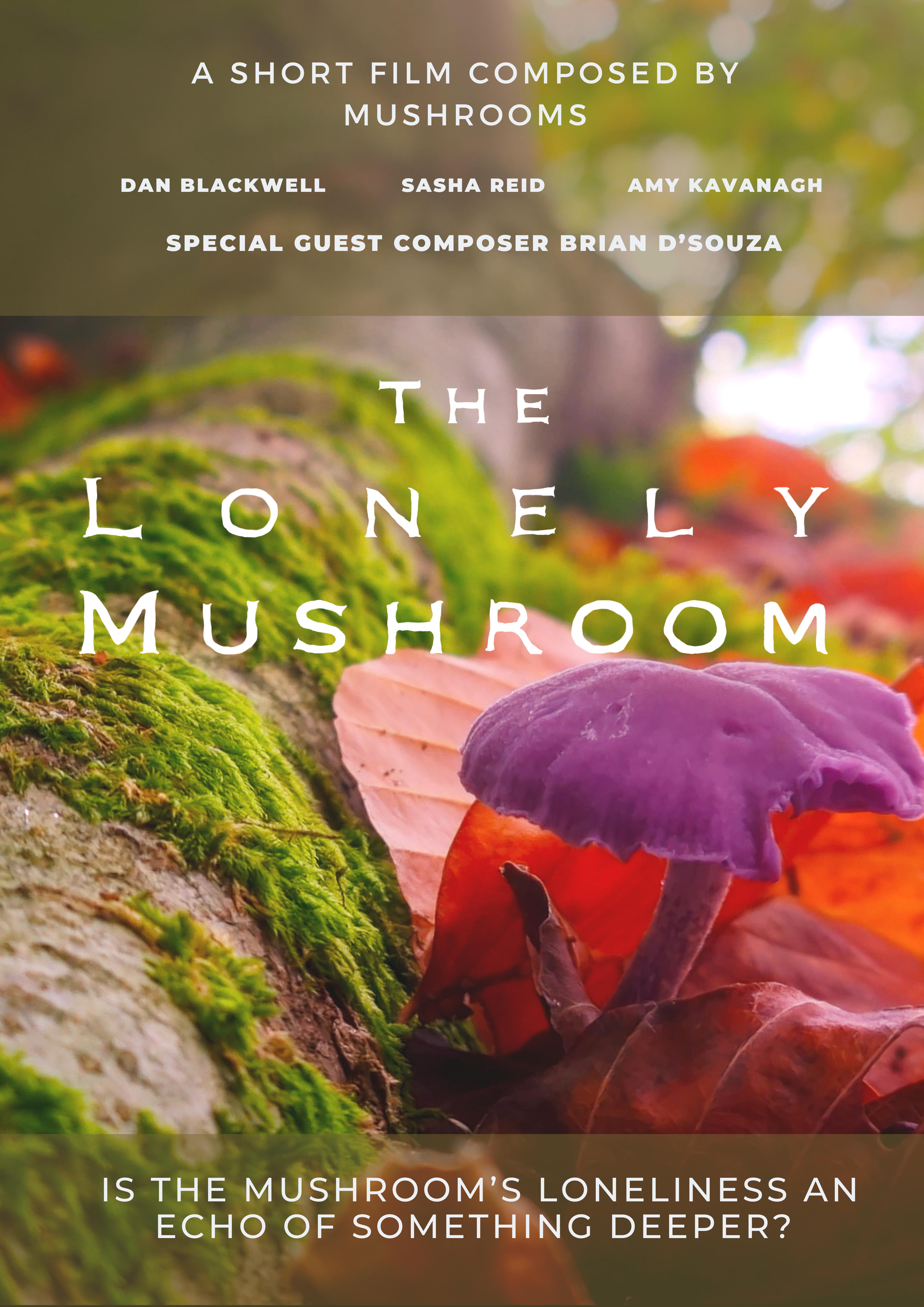 The Lonely Mushroom