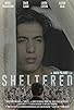 Primary photo for Sheltered
