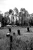 Primary photo for En pays neufs Primary photo for En pays neufs