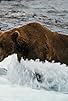 Primary photo for Adventure Alaska
