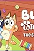 Primary photo for Bluey's Big Play