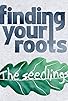 Primary photo for Finding Your Roots: The Seedlings Primary photo for Finding Your Roots: The Seedlings