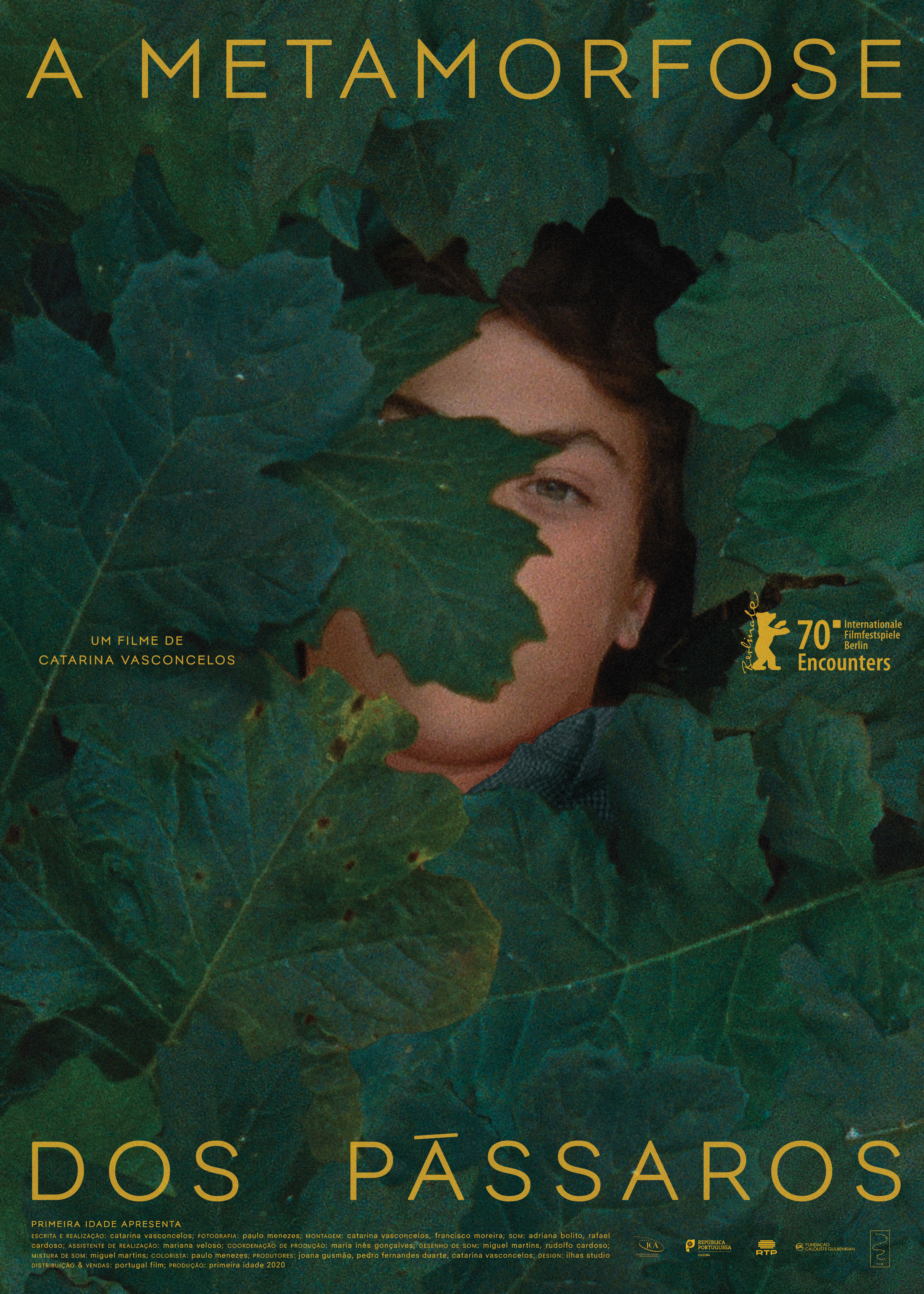 Poster of The Metamorphosis of Birds