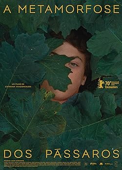 Poster of The Metamorphosis of Birds