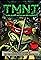 TMNT: Evolution, Mutation, & Reboot's primary photo
