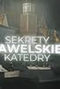 Primary photo for Secrets of the Wawel Cathedral