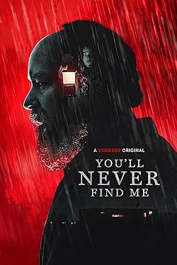 Poster of You'll Never Find Me