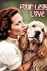 Primary photo for Four Legged Love Primary photo for Four Legged Love