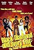 Primary photo for Black Diamond and Ivory Fist: The Power of Funk Fu