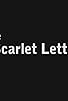 Primary photo for The Scarlet Letters