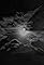 Sun Cloud's primary photo