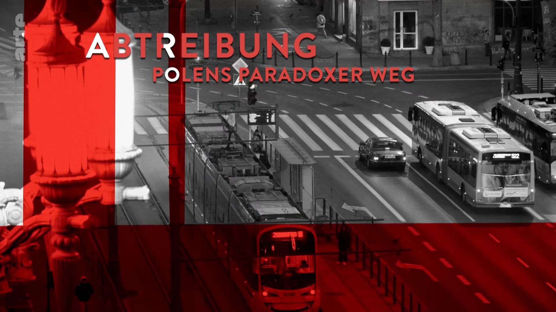 Pologne: les femmes, le pape et le parti