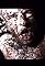 Greed's primary photo