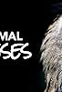 Primary photo for Animal Senses