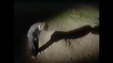 पोस्टर देखें