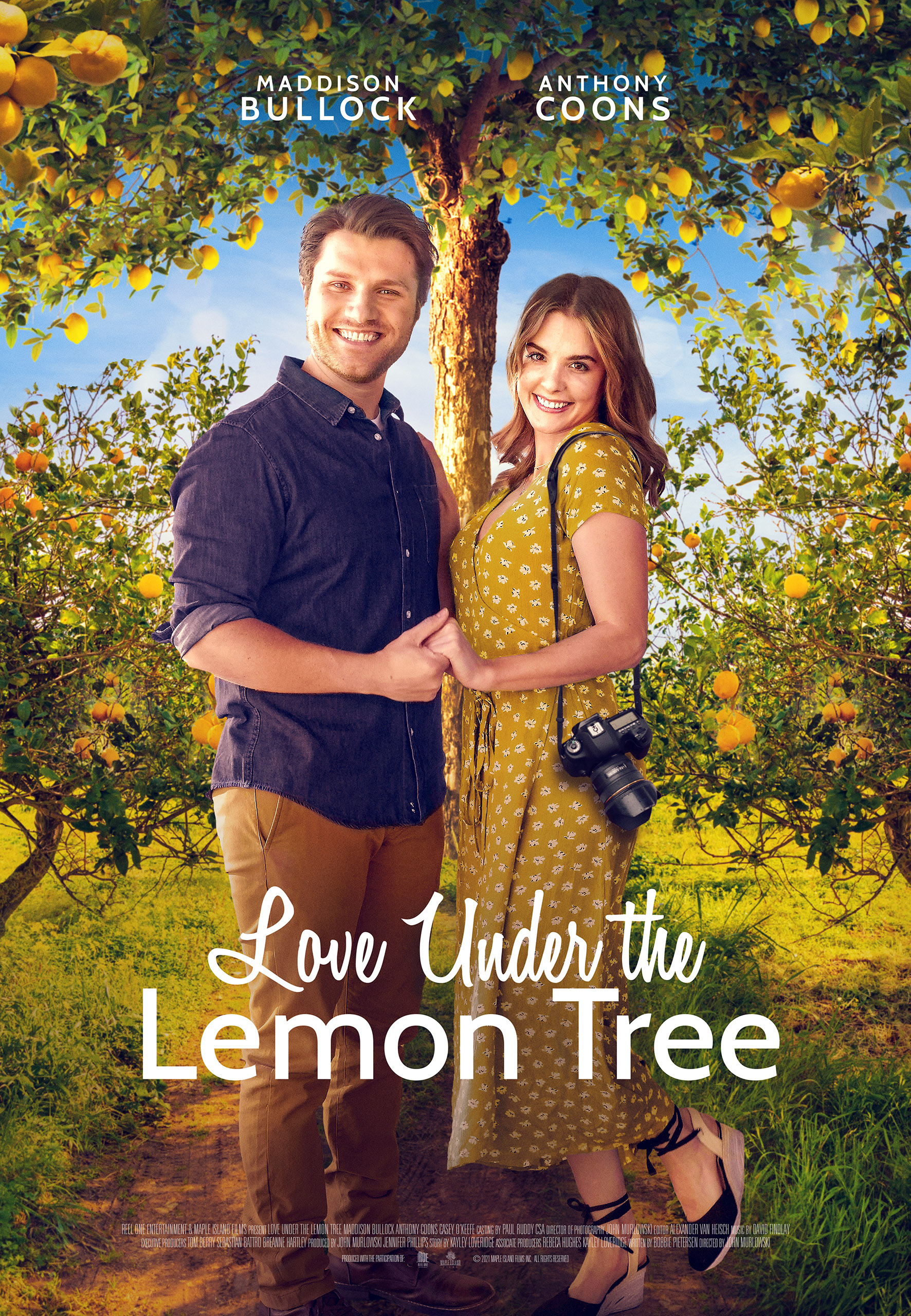 Poster of Love Under the Lemon Tree