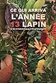 Ce qui arriva l'année 13 lapin's primary photo