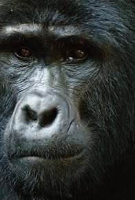 Primary photo for Wild Uganda