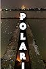 Primary photo for Polaris
