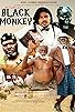 Primary photo for Return of Black Monkey