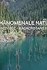Primary photo for Le lac Kaindy, joyau des montagnes kazakhes Primary photo for Le lac Kaindy, joyau des montagnes kazakhes