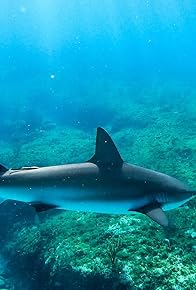 Primary photo for Episode 3