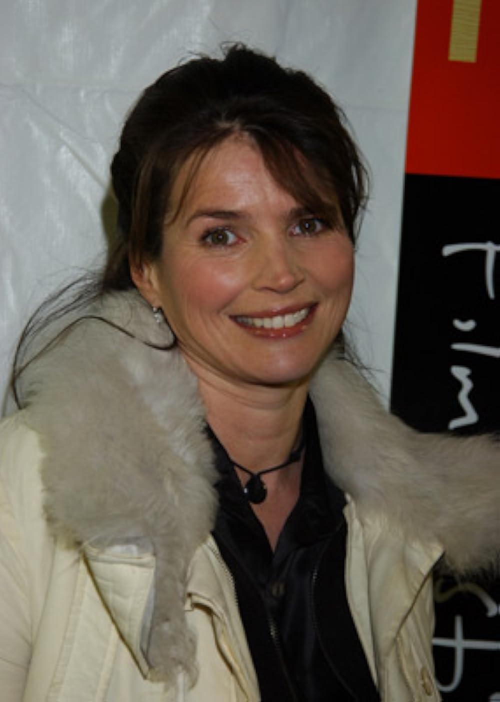 Iron Jawed Angels (2004)